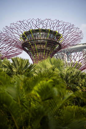 F1 - SINGAPORE GRAND PRIX 2026 Gardens by the Bay, ambiance during the 2026 Formula 1 Singapore Grand Prix, 17th round of the 2026 Formula One World Championship, WM, Weltmeisterschaft from October 9 to 11, 2026 on the Marina Bay Street Circuit, in Singapore, Singapore - SingaporeSingapore Copyright: xJulienxDelfossex