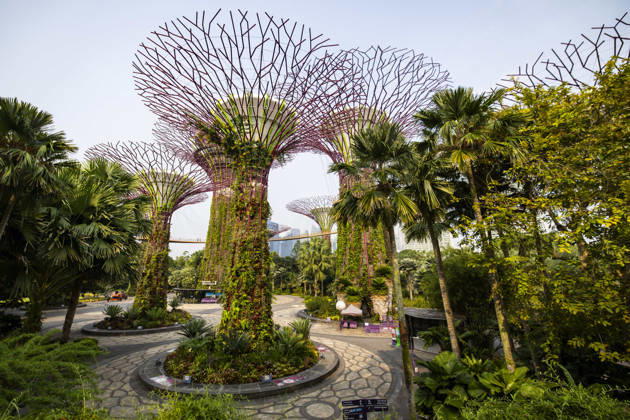 F1 - SINGAPORE GRAND PRIX 2026 Gardens by the Bay, ambiance during the 2026 Formula 1 Singapore Grand Prix, 17th round of the 2026 Formula One World Championship, WM, Weltmeisterschaft from October 9 to 11, 2026 on the Marina Bay Street Circuit, in Singapore, Singapore - SingaporeSingapore Copyright: xJulienxDelfossex