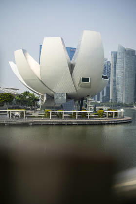 F1 - SINGAPORE GRAND PRIX 2026 ArtScience Museum, ambiance during the 2026 Formula 1 Singapore Grand Prix, 17th round of the 2026 Formula One World Championship, WM, Weltmeisterschaft from October 9 to 11, 2026 on the Marina Bay Street Circuit, in Singapore, Singapore - SingaporeSingapore  Copyright: xJulienxDelfossex