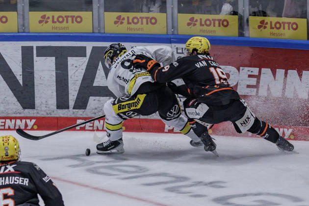 PEnny DEL Löwen Frankfurt vs. Krefeld Pinguine, October 8, 2026: Roope Mäkitalo of the Krefeld Pinguine (91) and Robin Van Calster of the Löwen Frankfurt (19) battle for the puck; Löwen Frankfurt vs. Krefeld Pinguine, Frankfurt, NIX Ice Arena, October 8, 2026 Copyright: xBEAUTIFULxSPORTS Gawlikx