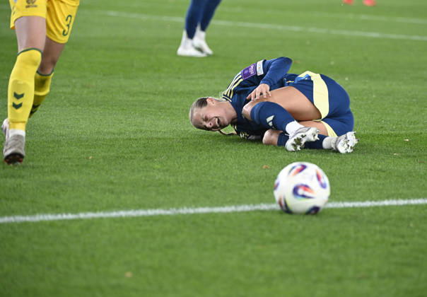 The image is included in the SPORTS PACKAGE. For others, PAY IMAGE