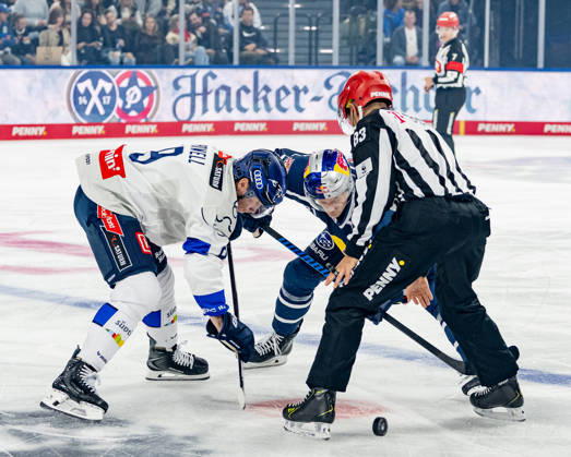 Linesman David Tschirner officiates a faceoff between Myles Powell of ERC Ingolstadt, No. 09, and Dominik Kahun of EHC Red Bull Munich, No. 21, GER, EHC Red Bull Munich vs. ERC Ingolstadt, DEL, 2026–2027 season, Matchday 7, October 9, 2026. Photo: HMB Media, Franz Feiner Copyright: HMBxMedia FranzxFeiner