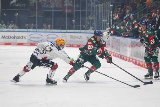One-on-one, action, featuring Matthew Abt (Fischtown Pinguins, 42) and Philipp Krauss (Augsburger Panther, 20), Augsburger Panther vs. Fischtown Pinguins, Matchday 7, Ice Hockey, Penny DEL, October 9, 2026, Augsburg, Bavaria, Germany Copyright: xkolbert-press ChristianxKolbertx