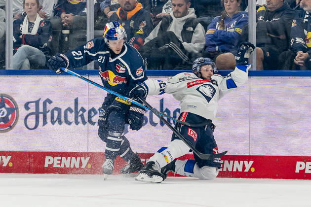 Battle for the Puck: Face-off between Dominik Kahun of EHC Red Bull Munich, 21, and Nicolas Appendino of ERC Ingolstadt, 21 (GER), EHC Red Bull Munich vs. ERC Ingolstadt, DEL, 2026–2027 season, Matchday 7, October 9, 2026 Photo: HMB Media, Franz Feiner Copyright: HMBxMedia FranzxFeiner
