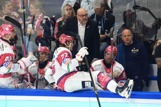 October 9, 2026, DEU, GER, Ice Hockey, Match Day, 2026–27 Season, Berlin, Eisbären Berlin vs. Grizzly Wolfsburg Head Coach Eric Dubois, Eisbären Berlin, Eisbären Bench, nordphoto GmbH, Engler, City, Über Arena, Federal State, Country Copyright: xNordphotox xEnglerx