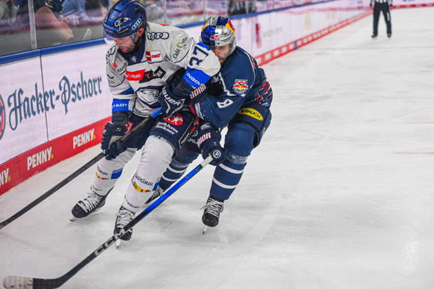 October 9, 2026, Munich, Germany PENNY DEL, German Ice Hockey League, 2026–27 season, Matchday 7: EHC Red Bull Munich vs. ERC Ingolstadt at SAP Garden in Munich; Tobias Rieder of EHC Red Bull Munich battles Riley Barber of ERC Ingolstadt for the puck