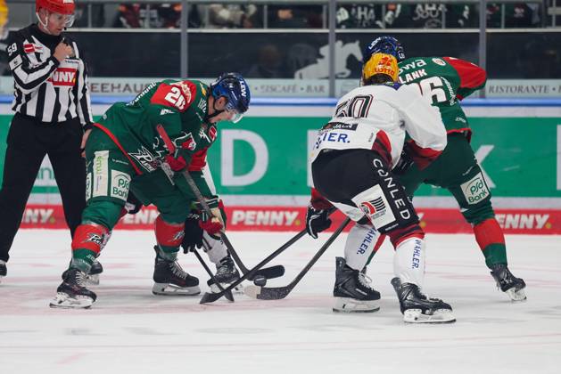One-on-one, action, featuring Philipp Krauss (No. 20, Augsburg Panthers) and Alexander Blank (No. 26, Augsburg Panthers), Augsburg Panthers vs. Fischtown Pinguins, Matchday 7, Ice Hockey, Penny DEL, October 9, 2026, Augsburg, Bavaria, Germany Copyright: xkolbert-press DunjaxDietrichx