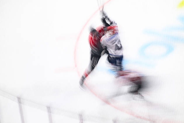 COLOGNE, GERMANY - 9 OCTOBER, 2026: - The PENNY DEL Ice hockey, Eishockey match Koelner Haie vs. Schwenninger Wild Wings at LANXESS arena. Copyright: xVitaliixKliuievx