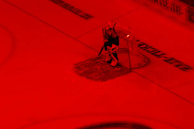 COLOGNE, GERMANY - 9 OCTOBER, 2026: - The PENNY DEL Ice hockey, Eishockey match Koelner Haie vs. Schwenninger Wild Wings at LANXESS arena. Copyright: xVitaliixKliuievx