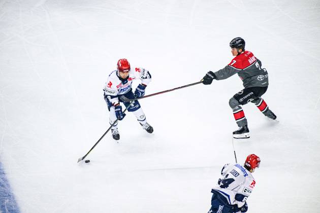 COLOGNE, GERMANY - 9 OCTOBER, 2026: - The PENNY DEL Ice hockey, Eishockey match Koelner Haie vs. Schwenninger Wild Wings at LANXESS arena. Copyright: xVitaliixKliuievx