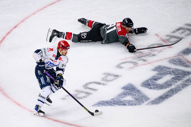 COLOGNE, GERMANY - 9 OCTOBER, 2026: - The PENNY DEL Ice hockey, Eishockey match Koelner Haie vs. Schwenninger Wild Wings at LANXESS arena.  Copyright: xVitaliixKliuievx
