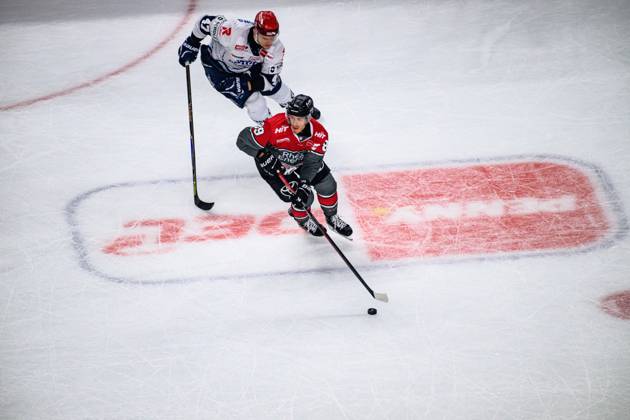 COLOGNE, GERMANY - 9 OCTOBER, 2026: - The PENNY DEL Ice hockey, Eishockey match Koelner Haie vs. Schwenninger Wild Wings at LANXESS arena.  Copyright: xVitaliixKliuievx