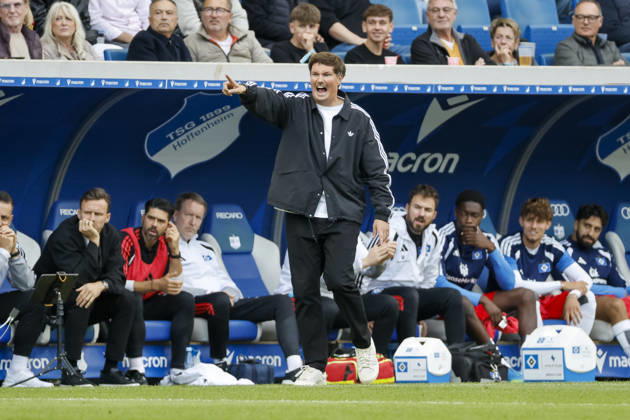 Merlin Polzin, Hamburger SV, Coach, Facial Expressions, Emotion, Germany, Soccer, Bundesliga 1, Matchday 5, 2026–2027, TSG Hoffenheim vs. Hamburger SV, October 10, 2026, Sinsheim SNP Arena, Germany Copyright: xGrantxHubbsx
