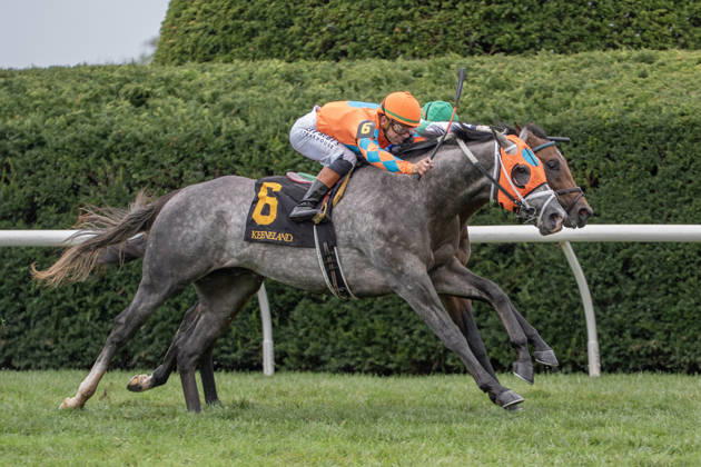 HORSE RACING 2026: QEII GI Day Keeneland OCT 10 October 10, 2026, Lexington, Kentucky, USA: Merlin Monroan (6) ridden by Tyler Gaffalionhe wins an allowance on QEII Day on October 10, 2026. Jessica Morgan Eclipse Sportswire CSM(Credit Image: Â Cal Media) Lexington Kentucky USA EDITORIAL USE ONLY Copyright: xx ZUMA-20261010_faf_cs17_003.jpg 01354200x csmphotothree532573
