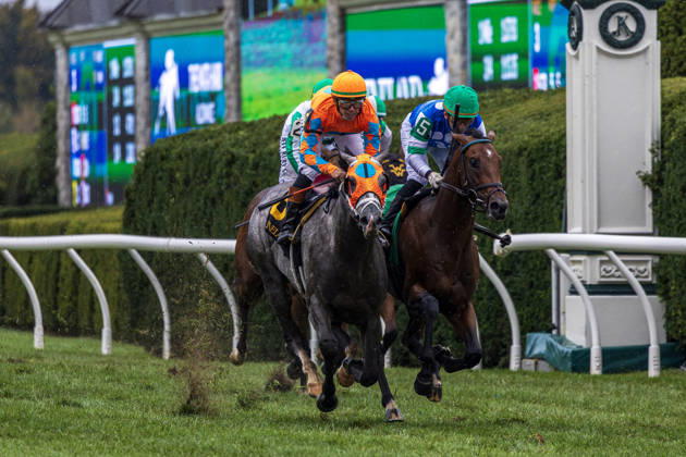 October 10, 2026, USA: Merlin Monroan (6) ridden by Tyler Gaffalione wins an allowance race on QE II Day at Keeneland Race Course in Lexington, Kentucly on October 10, 2026. Eclipse Sportswire CSM HORSE RACING 2026: QEII GI Day Keeneland OCT 10 - ZUMAcs17 20261010_faf_cs17_004 Copyright: xCaseyxLaughterx