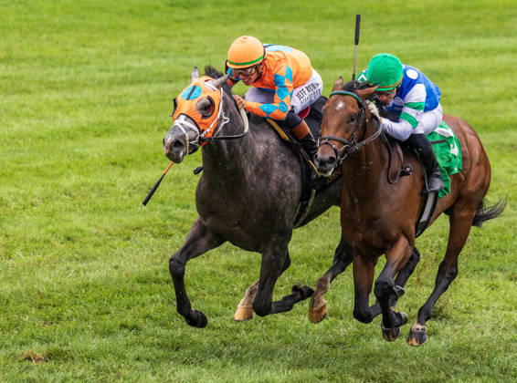 October 10, 2026, Lexington, Ky, USA: Merlin Monroan (6) ridden by Tyler Gaffalione wins an allowance on QEII GI Day on October 10, 2026. Candice Chavez Eclipse Sportswire CSM HORSE RACING 2026: QEII GI Day Keeneland OCT 10 - ZUMAcs17 20261010_faf_cs17_007 Copyright: x {Serialx