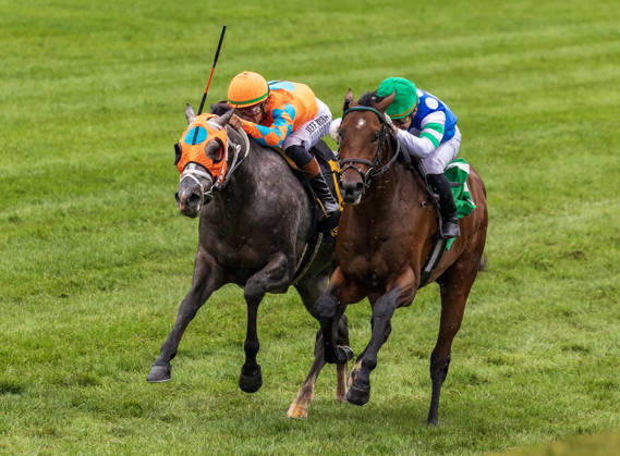 October 10, 2026, Lexington, Ky, USA: Merlin Monroan (6) ridden by Tyler Gaffalione wins an allowance on QEII GI Day on October 10, 2026. Candice Chavez Eclipse Sportswire CSM HORSE RACING 2026: QEII GI Day Keeneland OCT 10 - ZUMAcs17 20261010_faf_cs17_008 Copyright: x {Serialx