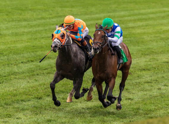 HORSE RACING 2026: QEII GI Day Keeneland OCT 10 October 10, 2026, Lexington, Ky, USA: Merlin Monroan (6) ridden by Tyler Gaffalione wins an allowance on QEII GI Day on October 10, 2026. Candice Chavez Eclipse Sportswire CSM(Credit Image: Â {Serial Cal Media) Lexington Ky USA EDITORIAL USE ONLY Copyright: xx ZUMA-20261010_faf_cs17_011.jpg {Serialx csmphotothree532576