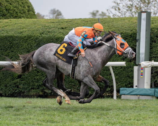 October 10, 2026, Lexington, Kentucky, USA: Merlin Monroan (6) ridden by Tyler Gaffalionhe wins an allowance on QEII Day on October 10, 2026. Jessica Morgan Eclipse Sportswire CSM HORSE RACING 2026: QEII GI Day Keeneland OCT 10 - ZUMAcs17 20261010_faf_cs17_012 Copyright: x01354200x