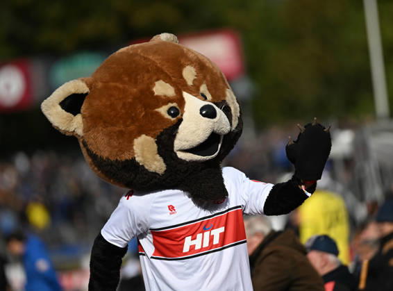 October 10, 2026, xophax, Soccer 3rd Division, Fortuna Cologne vs. Saarbrücken, Fortuna Cologne mascot Fred Cologne