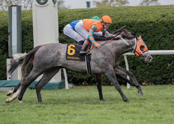 October 10, 2026, Lexington, Kentucky, USA: Merlin Monroan (6) ridden by Tyler Gaffalionhe wins an allowance on QEII Day on October 10, 2026. Jessica Morgan Eclipse Sportswire CSM HORSE RACING 2026: QEII GI Day Keeneland OCT 10 - ZUMAcs17 20261010_faf_cs17_013 Copyright: x01354200x