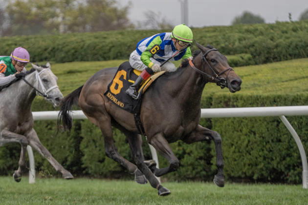 HORSE RACING 2026: QEII GI Day Keeneland OCT 10 October 10, 2026, Lexington, Kentucky, USA: Tannhauser (6) ridden by Jose Ortiz wins a maiden special weight on QEII Day on October 10, 2026. Jessica Morgan Eclipse Sportswire CSM(Credit Image: Â Cal Media) Lexington Kentucky USA EDITORIAL USE ONLY Copyright: xx ZUMA-20261010_faf_cs17_020.jpg 01354200x csmphotothree532724