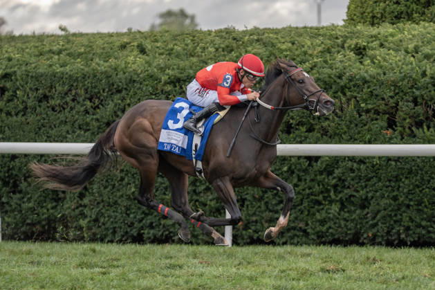 HORSE RACING 2026: QEII GI Day Keeneland OCT 10 October 10, 2026, Lexington, Kentucky, USA: Tam Tam (3) ridden by Junior Alvarado wins the Queen Elizabeth II Challenge Cup Stakes (Grade 1) Presented by Dixiana on October 10, 2026. Jessica Morgan Eclipse Sportswire CSM(Credit Image: Â Cal Media) Lexington Kentucky USA EDITORIAL USE ONLY Copyright: xx ZUMA-20261010_faf_cs17_029.jpg 01354200x csmphotothree532741