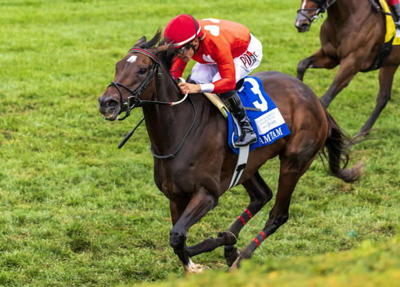 HORSE RACING 2026: QEII GI Day Keeneland OCT 10 October 10, 2026, Lexington, Ky, USA: Tam Tam (3) ridden by Junior Alvarado wins the Queen Elizabeth II Challenge Cup on QEII GI Day on October 10, 2026. Candice Chavez Eclipse Sportswire CSM(Credit Image: Â {Serial Cal Media) Lexington Ky USA EDITORIAL USE ONLY Copyright: xx ZUMA-20261010_faf_cs17_036.jpg {Serialx csmphotothree532768