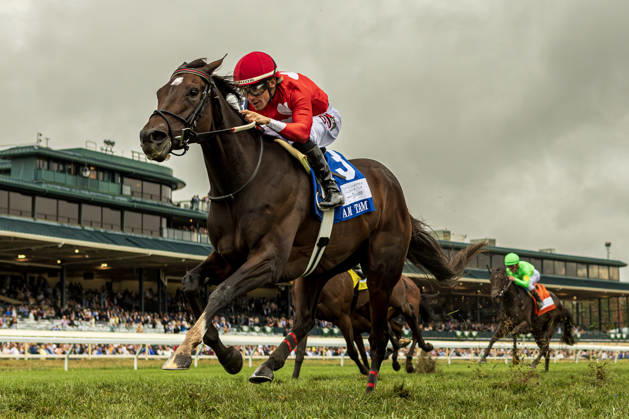 HORSE RACING 2026: QEII GI Day Keeneland OCT 10 October 10, 2026, USA: Tam Tam (3) ridden by Junior Alvarado wins The Queen Elizabeth II Challenge Cup (Grade 1) at Keeneland Race Course in Lexington, Kentucly on October 10, 2026. Casey Laughter Eclipse Sportswire CSM(Credit Image: Â Casey Laughter Cal Media) USA EDITORIAL USE ONLY Copyright: xx ZUMA-20261010_faf_cs17_034.jpg CaseyxLaughterx csmphotothree532770