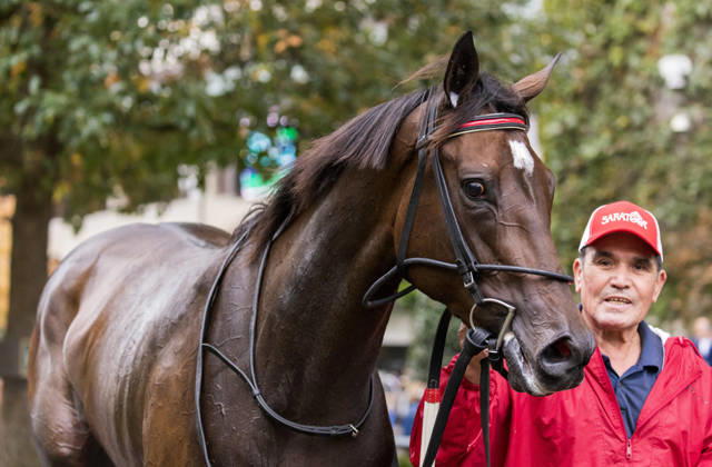 HORSE RACING 2026: QEII GI Day Keeneland OCT 10 October 10, 2026, Lexington, Ky, USA: Tam Tam (3) ridden by Junior Alvarado wins the Queen Elizabeth II Challenge Cup on QEII GI Day on October 10, 2026. Candice Chavez Eclipse Sportswire CSM(Credit Image: Â {Serial Cal Media) Lexington Ky USA EDITORIAL USE ONLY Copyright: xx ZUMA-20261010_faf_cs17_051.jpg {Serialx csmphotothree532779