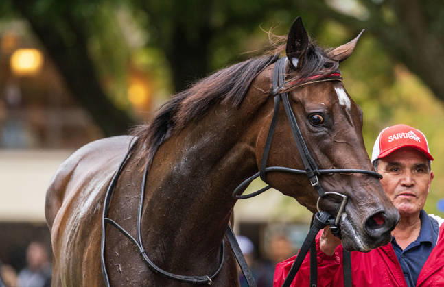 HORSE RACING 2026: QEII GI Day Keeneland OCT 10 October 10, 2026, Lexington, Ky, USA: Tam Tam (3) ridden by Junior Alvarado wins the Queen Elizabeth II Challenge Cup on QEII GI Day on October 10, 2026. Candice Chavez Eclipse Sportswire CSM(Credit Image: Â {Serial Cal Media) Lexington Ky USA EDITORIAL USE ONLY Copyright: xx ZUMA-20261010_faf_cs17_050.jpg {Serialx csmphotothree532780