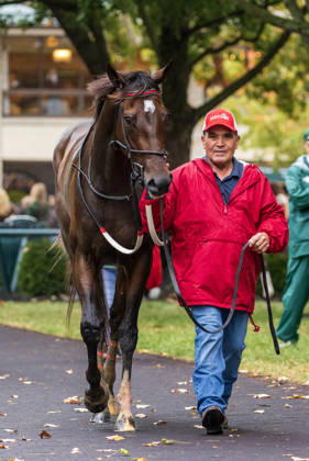 HORSE RACING 2026: QEII GI Day Keeneland OCT 10 October 10, 2026, Lexington, Ky, USA: Tam Tam (3) ridden by Junior Alvarado wins the Queen Elizabeth II Challenge Cup on QEII GI Day on October 10, 2026. Candice Chavez Eclipse Sportswire CSM(Credit Image: Â {Serial Cal Media) Lexington Ky USA EDITORIAL USE ONLY Copyright: xx ZUMA-20261010_faf_cs17_049.jpg {Serialx csmphotothree532781