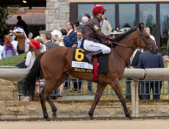 HORSE RACING 2026: QEII GI Day Keeneland OCT 10 October 10, 2026, Lexington, Ky, USA: Braida (FR) (6) ridden by Vincent Cheminaud in the post parade for the Queen Elizabeth II Challenge Cup on QEII GI Day on October 10, 2026. Candice Chavez Eclipse Sportswire CSM(Credit Image: Â {Serial Cal Media) Lexington Ky USA EDITORIAL USE ONLY Copyright: xx ZUMA-20261010_faf_cs17_067.jpg {Serialx csmphotothree532846