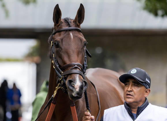 HORSE RACING 2026: QEII GI Day Keeneland OCT 10 October 10, 2026, Lexington, Ky, USA: Deep Learning (10) in the paddock before the Queen Elizabeth II Challenge Cup on QEII GI Day on October 10, 2026. Candice Chavez Eclipse Sportswire CSM(Credit Image: Â {Serial Cal Media) Lexington Ky USA EDITORIAL USE ONLY Copyright: xx ZUMA-20261010_faf_cs17_073.jpg {Serialx csmphotothree532849