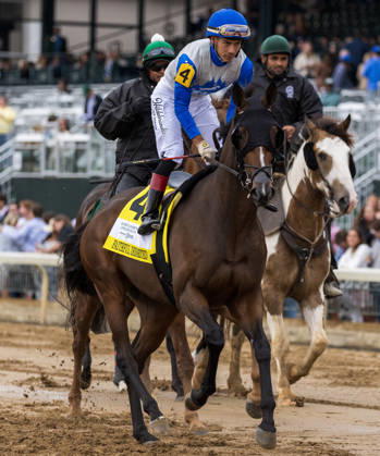 HORSE RACING 2026: QEII GI Day Keeneland OCT 10 October 10, 2026, Lexington, Ky, USA: Faithful Departed (4) ridden by Jose Ortiz in the post parade for the Queen Elizabeth II Challenge Cup on QEII GI Day on October 10, 2026. Candice Chavez Eclipse Sportswire CSM(Credit Image: Â {Serial Cal Media) Lexington Ky USA EDITORIAL USE ONLY Copyright: xx ZUMA-20261010_faf_cs17_072.jpg {Serialx csmphotothree532850