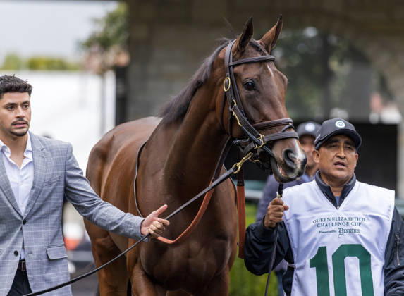 HORSE RACING 2026: QEII GI Day Keeneland OCT 10 October 10, 2026, Lexington, Ky, USA: Deep Learning (10) in the paddock before the Queen Elizabeth II Challenge Cup on QEII GI Day on October 10, 2026. Candice Chavez Eclipse Sportswire CSM(Credit Image: Â {Serial Cal Media) Lexington Ky USA EDITORIAL USE ONLY Copyright: xx ZUMA-20261010_faf_cs17_069.jpg {Serialx csmphotothree532857