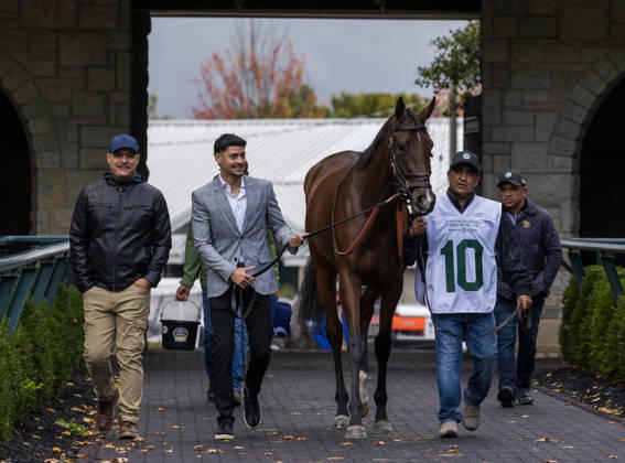 HORSE RACING 2026: QEII GI Day Keeneland OCT 10 October 10, 2026, Lexington, Ky, USA: Deep Learning (10) in the paddock before the Queen Elizabeth II Challenge Cup on QEII GI Day on October 10, 2026. Candice Chavez Eclipse Sportswire CSM(Credit Image: Â {Serial Cal Media) Lexington Ky USA EDITORIAL USE ONLY Copyright: xx ZUMA-20261010_faf_cs17_068.jpg {Serialx csmphotothree532863
