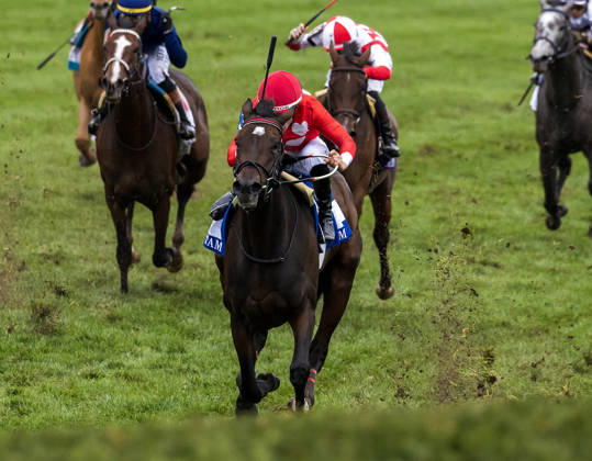 HORSE RACING 2026: QEII GI Day Keeneland OCT 10 October 10, 2026, Lexington, Ky, USA: Tam Tam (3) ridden by Junior Alvarado wins the Queen Elizabeth II Challenge Cup on QEII GI Day on October 10, 2026. Candice Chavez Eclipse Sportswire CSM(Credit Image: Â {Serial Cal Media) Lexington Ky USA EDITORIAL USE ONLY Copyright: xx ZUMA-20261010_faf_cs17_085.jpg {Serialx csmphotothree532864