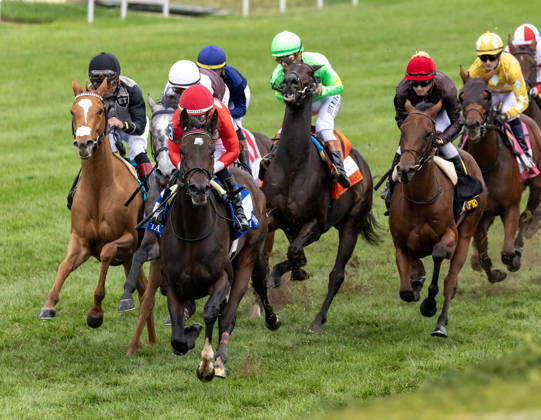 HORSE RACING 2026: QEII GI Day Keeneland OCT 10 October 10, 2026, Lexington, Ky, USA: Tam Tam (3) ridden by Junior Alvarado wins the Queen Elizabeth II Challenge Cup on QEII GI Day on October 10, 2026. Candice Chavez Eclipse Sportswire CSM(Credit Image: Â {Serial Cal Media) Lexington Ky USA EDITORIAL USE ONLY Copyright: xx ZUMA-20261010_faf_cs17_084.jpg {Serialx csmphotothree532865