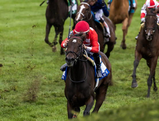 HORSE RACING 2026: QEII GI Day Keeneland OCT 10 October 10, 2026, Lexington, Ky, USA: Tam Tam (3) ridden by Junior Alvarado wins the Queen Elizabeth II Challenge Cup on QEII GI Day on October 10, 2026. Candice Chavez Eclipse Sportswire CSM(Credit Image: Â {Serial Cal Media) Lexington Ky USA EDITORIAL USE ONLY Copyright: xx ZUMA-20261010_faf_cs17_083.jpg {Serialx csmphotothree532866