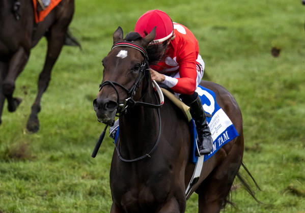 HORSE RACING 2026: QEII GI Day Keeneland OCT 10 October 10, 2026, Lexington, Ky, USA: Tam Tam (3) ridden by Junior Alvarado wins the Queen Elizabeth II Challenge Cup on QEII GI Day on October 10, 2026. Candice Chavez Eclipse Sportswire CSM(Credit Image: Â {Serial Cal Media) Lexington Ky USA EDITORIAL USE ONLY Copyright: xx ZUMA-20261010_faf_cs17_082.jpg {Serialx csmphotothree532867