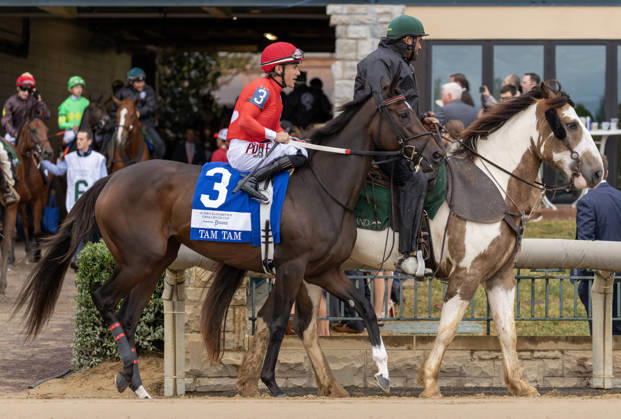 HORSE RACING 2026: QEII GI Day Keeneland OCT 10 October 10, 2026, Lexington, Ky, USA: Tam Tam (3) ridden by Junior Alvarado in the post parade for the Queen Elizabeth II Challenge Cup on QEII GI Day on October 10, 2026. Candice Chavez Eclipse Sportswire CSM(Credit Image: Â {Serial Cal Media) Lexington Ky USA EDITORIAL USE ONLY Copyright: xx ZUMA-20261010_faf_cs17_081.jpg {Serialx csmphotothree532868