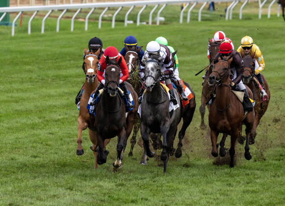 HORSE RACING 2026: QEII GI Day Keeneland OCT 10 October 10, 2026, Lexington, Ky, USA: Tam Tam (3) ridden by Junior Alvarado wins the Queen Elizabeth II Challenge Cup on QEII GI Day on October 10, 2026. Candice Chavez Eclipse Sportswire CSM(Credit Image: Â {Serial Cal Media) Lexington Ky USA EDITORIAL USE ONLY Copyright: xx ZUMA-20261010_faf_cs17_080.jpg {Serialx csmphotothree532869