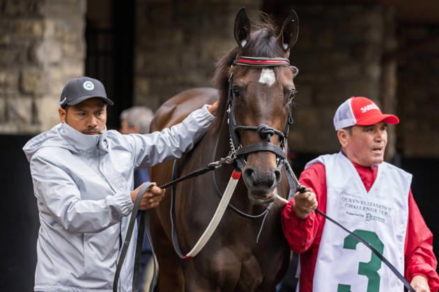 HORSE RACING 2026: QEII GI Day Keeneland OCT 10 October 10, 2026, Lexington, Ky, USA: Tam Tam (3) in the paddock before the Queen Elizabeth II Challenge Cup on QEII GI Day on October 10, 2026. Candice Chavez Eclipse Sportswire CSM(Credit Image: Â {Serial Cal Media) Lexington Ky USA EDITORIAL USE ONLY Copyright: xx ZUMA-20261010_faf_cs17_079.jpg {Serialx csmphotothree532870