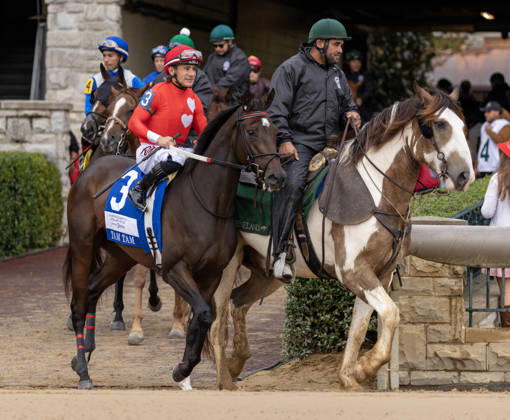HORSE RACING 2026: QEII GI Day Keeneland OCT 10 October 10, 2026, Lexington, Ky, USA: Tam Tam (3) ridden by Junior Alvarado in the post parade for the Queen Elizabeth II Challenge Cup on QEII GI Day on October 10, 2026. Candice Chavez Eclipse Sportswire CSM(Credit Image: Â {Serial Cal Media) Lexington Ky USA EDITORIAL USE ONLY Copyright: xx ZUMA-20261010_faf_cs17_078.jpg {Serialx csmphotothree532871