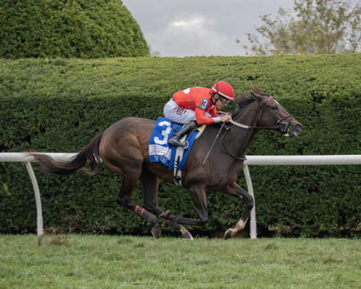 HORSE RACING 2026: QEII GI Day Keeneland OCT 10 October 10, 2026, Lexington, Kentucky, USA: Tam Tam (3) ridden by Junior Alvarado wins the Queen Elizabeth II Challenge Cup Stakes (Grade 1) Presented by Dixiana on October 10, 2026. Jessica Morgan Eclipse Sportswire CSM(Credit Image: Â Cal Media) Lexington Kentucky USA EDITORIAL USE ONLY Copyright: xx ZUMA-20261010_faf_cs17_106.jpg 01354200x csmphotothree532968