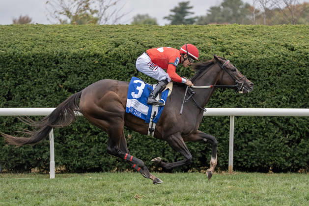 HORSE RACING 2026: QEII GI Day Keeneland OCT 10 October 10, 2026, Lexington, Kentucky, USA: Tam Tam (3) ridden by Junior Alvarado wins the Queen Elizabeth II Challenge Cup Stakes (Grade 1) Presented by Dixiana on October 10, 2026. Jessica Morgan Eclipse Sportswire CSM(Credit Image: Â Cal Media) Lexington Kentucky USA EDITORIAL USE ONLY Copyright: xx ZUMA-20261010_faf_cs17_108.jpg 01354200x csmphotothree533021