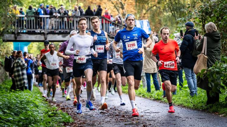 Marathon at Lake Baldeney in Essen ** FOR EDITORIAL USE ONLY ** EDITORIAL USE ONLY ** p On Sunday morning, October 11, 2026, approximately 1,800 runners will set out on a course of just over 18 kilometers around the lake as part of the supporting program for the Baldeneysee Marathon. Germany NRW Essen Copyright MartinxMöller Copyright: MartinxMöller doc87zd4r3dc89d5npkafo ,EDITORIAL USE ONLY Copyright: MartinxMöller