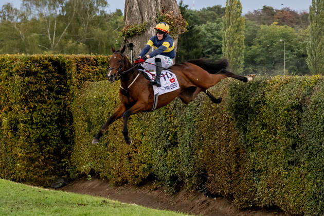 Sport Bilder des Tages The 136th Grand Pardubice Steeplechase (6,900m), in Pardubice, Czech Republic, on October 11, 2026. Keith Michael Donoghue on Final Orders at the Taxis Ditch. (CTKxPhoto DavidxTanecek) CTKPhotoP2026101104534 CTKPhotoP2026101104534