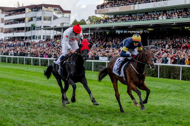 The 136th Grand Pardubice Steeplechase (6,900m), in Pardubice, Czech Republic, on October 11, 2026. From left: Jan Faltejsek on Godfrey and Keith Michael Donoghue on Final Orders. (CTKxPhoto DavidxTanecek) CTKPhotoP2026101104586 CTKPhotoP2026101104586